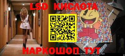 гидра Камышлов