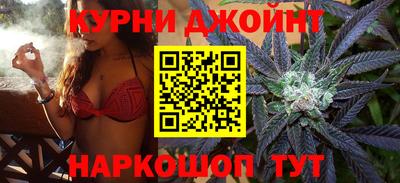 гидра Камышлов