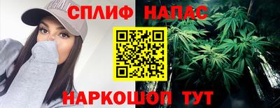 гидра Камышлов