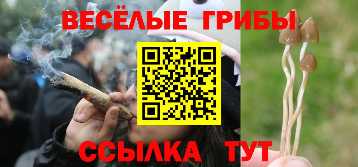 Псилоцибиновые грибы ЛСД  Вход с VPN  Ленинск-Кузнецкий 